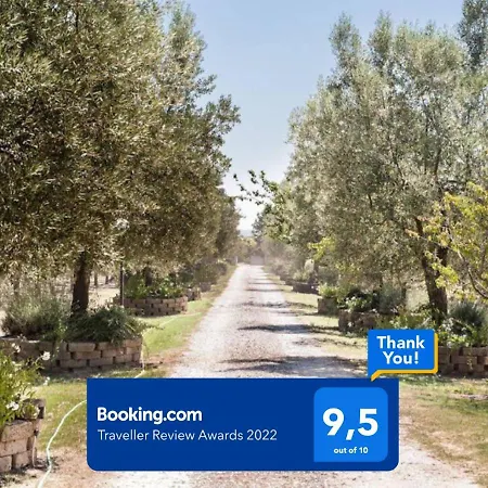 Under The Tuscan Sun