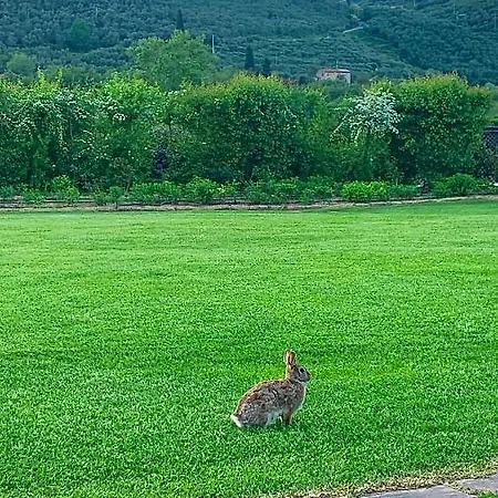Under The Tuscan Sun * Vicopisano