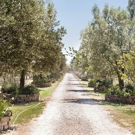 Villa Under The Tuscan Sun Vicopisano