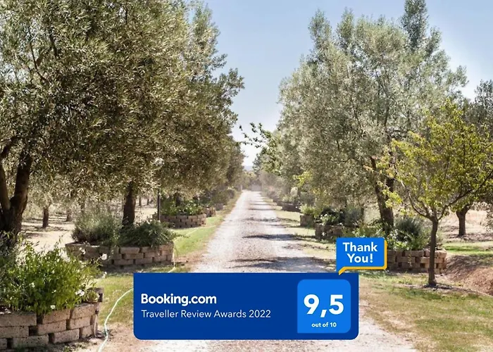 Under The Tuscan Sun