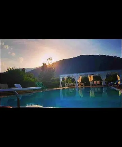 Under The Tuscan Sun *