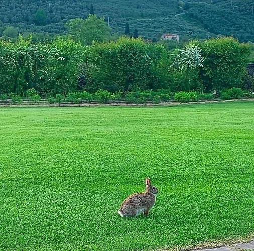 Under The Tuscan Sun * Vicopisano