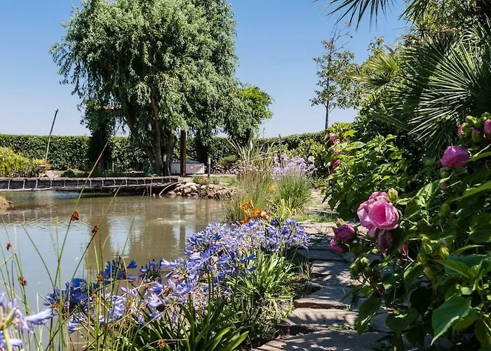 Under The Tuscan Sun فندق *