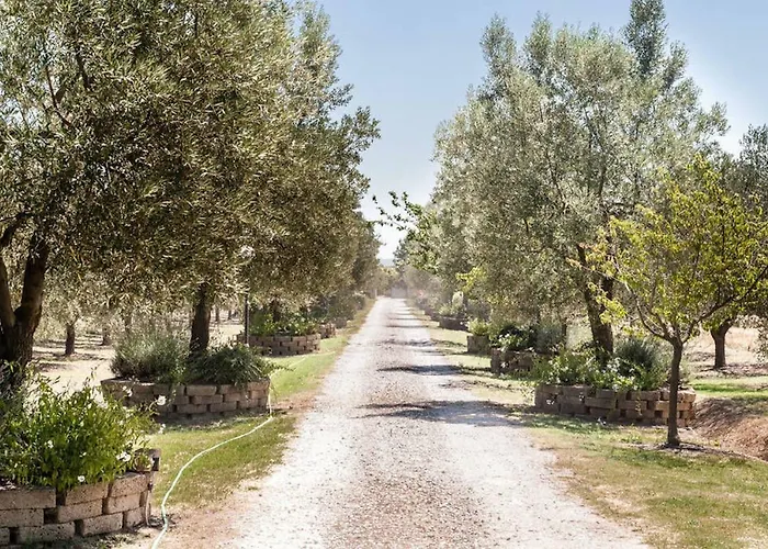 فندق Under The Tuscan Sun Vicopisano